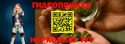 ECSTASY Канаш