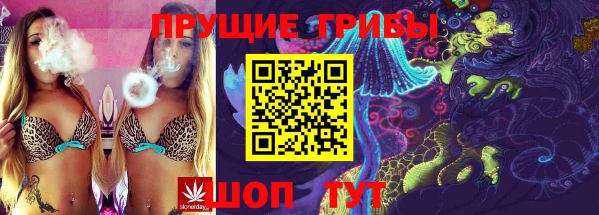 Галлюциногенные грибы Psilocybine cubensis Кумертау