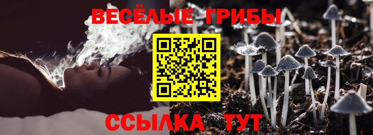 Кумертау  Галлюциногенные грибы Psilocybine cubensis  Вход с VPN 